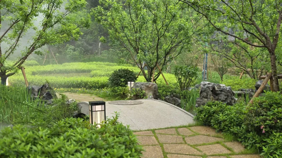 640.webp (6).png